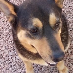 Meet your Posher, Aliana